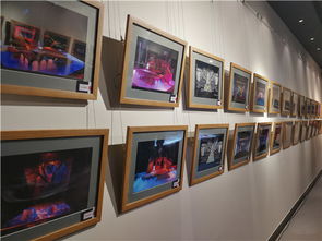 悠然自得 舞台造型的诗意交响——李华设计作品展哈尔滨开幕